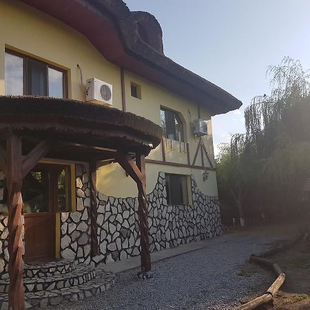 Отель Constantin Si Elena Дунавэцу-де-Жос Экстерьер фото